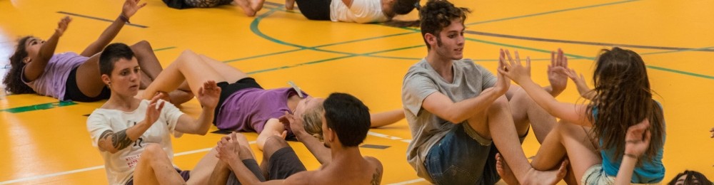 Escuela Circo Volátil