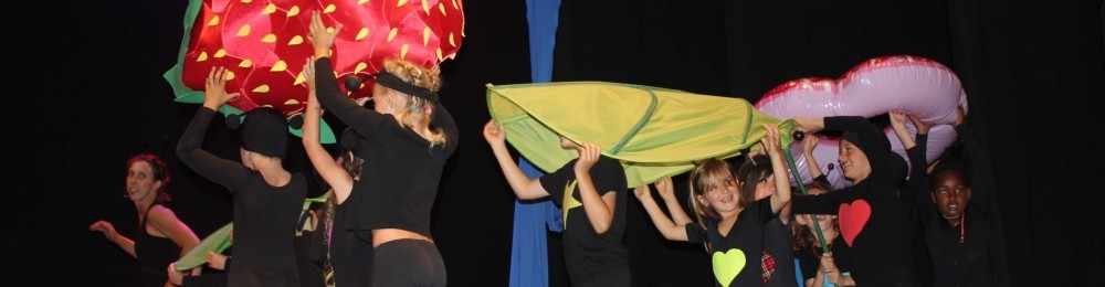 Escuela Circo Volátil