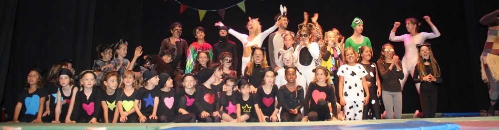 Escuela Circo Volátil