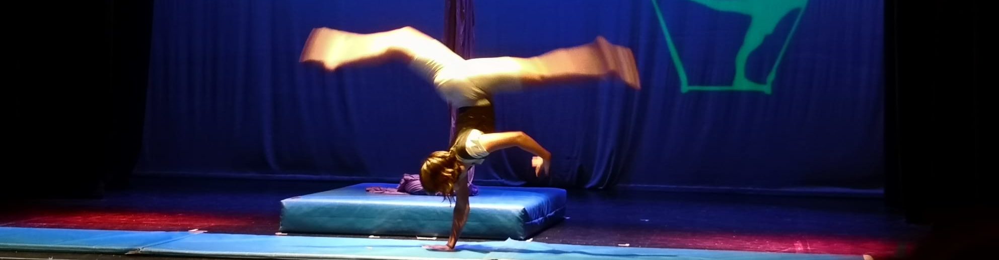 Escuela Circo Volátil