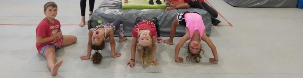 Escuela Circo Volátil